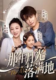 那年月光落满地(全集)