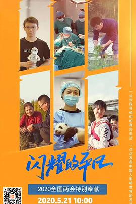 闪耀的平凡(全集)