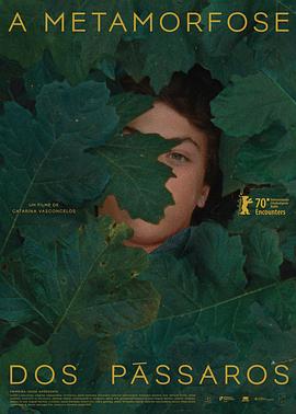 鸟类变形记(全集)